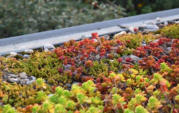 the cost of Ardmoney green roof installation