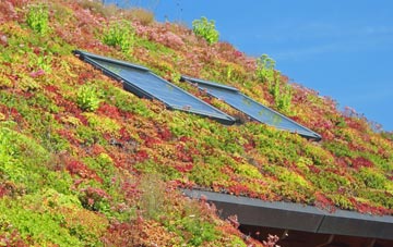 Ardmoney living roof systems