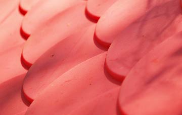 Ardmoney plastic roof costs