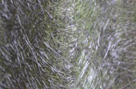 Ardmoney fibreglass roof work